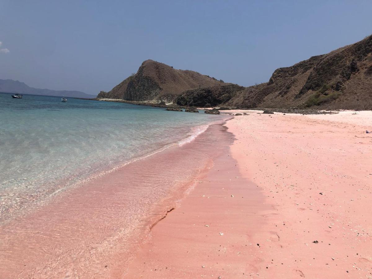 Dua Putri Komodo Homestay Exteriör bild